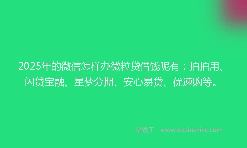 2025年的微信怎样办微粒贷借钱呢有：拍拍用、闪贷宝融、星梦分期、安心易贷、优速购等。
