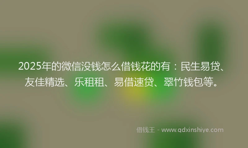 2025年的微信没钱怎么借钱花的有：民生易贷、友佳精选、乐租租、易借速贷、翠竹钱包等。