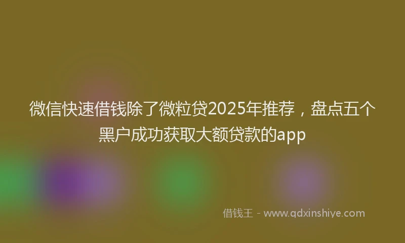 微信快速借钱除了微粒贷2025年推荐，盘点五个黑户成功获取大额贷款的app