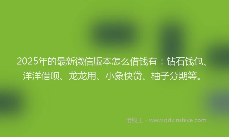 2025年的最新微信版本怎么借钱有：钻石钱包、洋洋借呗、龙龙用、小象快贷、柚子分期等。