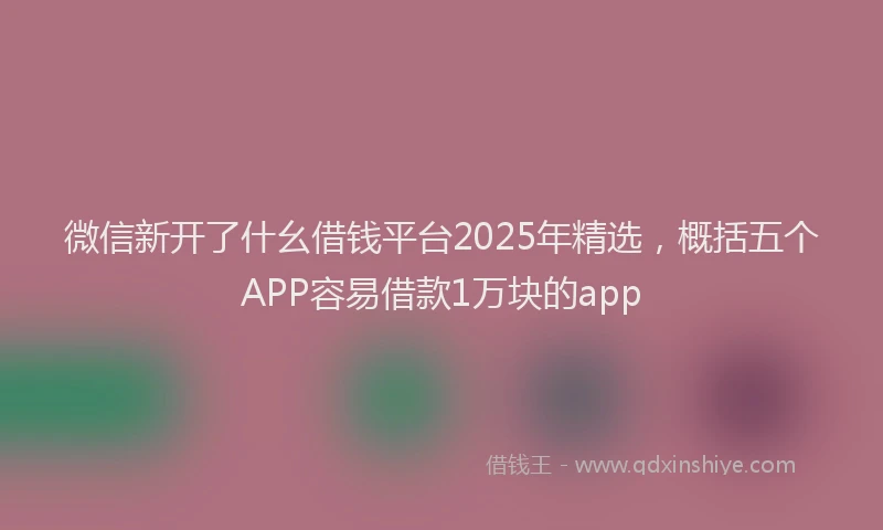 微信新开了什幺借钱平台2025年精选，概括五个APP容易借款1万块的app