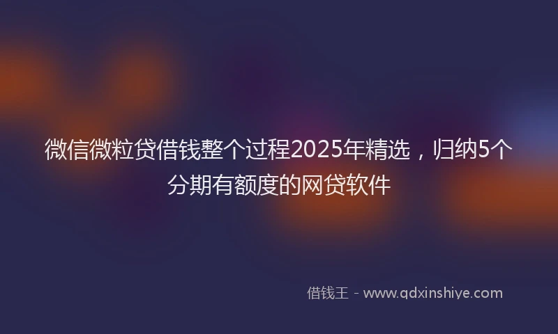 微信微粒贷借钱整个过程2025年精选，归纳5个分期有额度的网贷软件