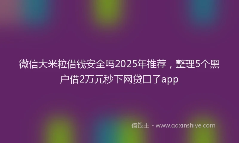 微信大米粒借钱安全吗2025年推荐，整理5个黑户借2万元秒下网贷口子app