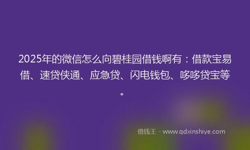 2025年的微信怎么向碧桂园借钱啊有：借款宝易借、速贷侠通、应急贷、闪电钱包、哆哆贷宝等。