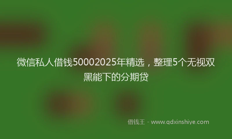 微信私人借钱50002025年精选，整理5个无视双黑能下的分期贷