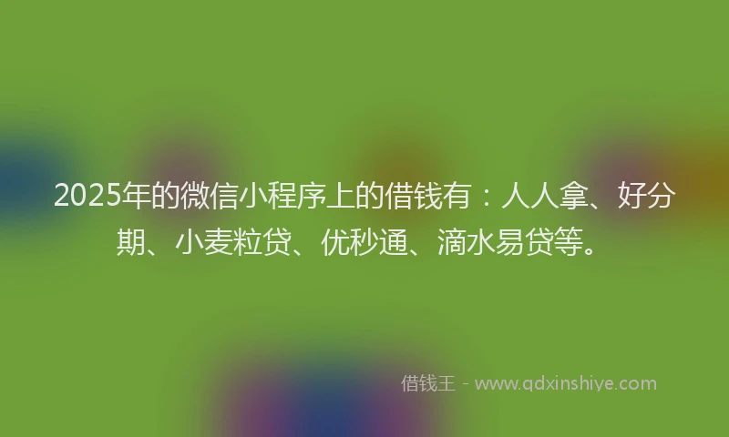 2025年的微信小程序上的借钱有：人人拿、好分期、小麦粒贷、优秒通、滴水易贷等。