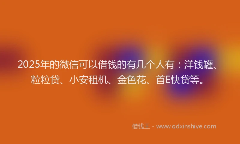 2025年的微信可以借钱的有几个人有：洋钱罐、粒粒贷、小安租机、金色花、首E快贷等。