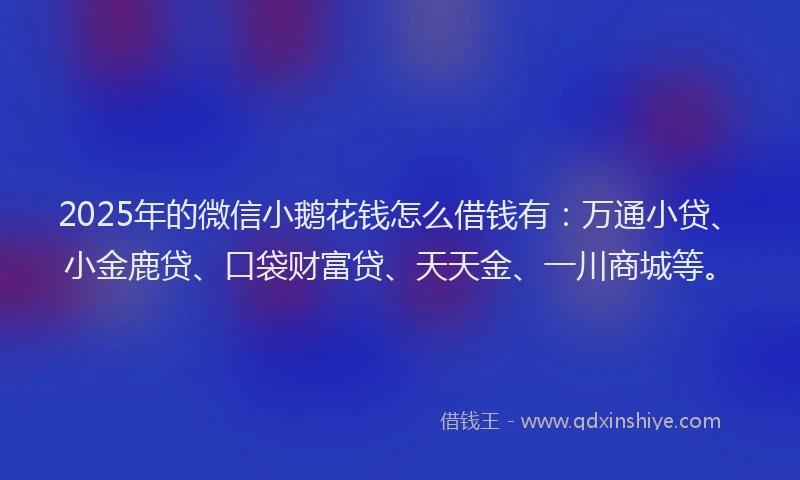 2025年的微信小鹅花钱怎么借钱有：万通小贷、小金鹿贷、口袋财富贷、天天金、一川商城等。