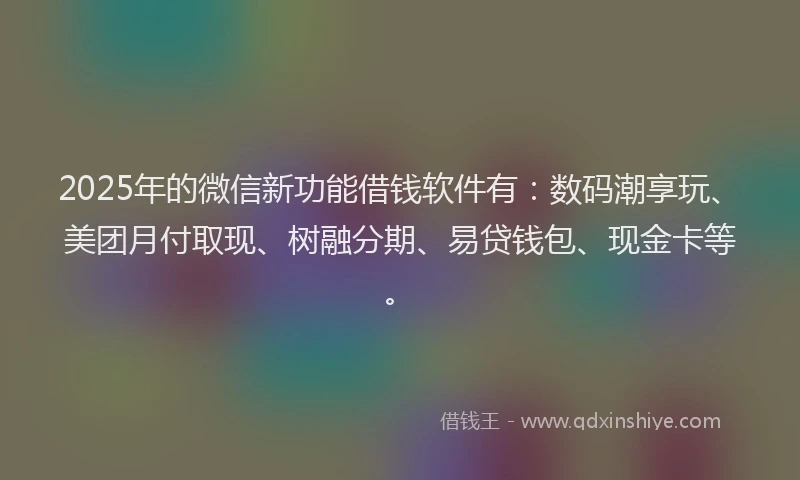 2025年的微信新功能借钱软件有：数码潮享玩、美团月付取现、树融分期、易贷钱包、现金卡等。