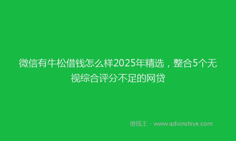 微信有牛松借钱怎么样2025年精选，整合5个无视综合评分不足的网贷
