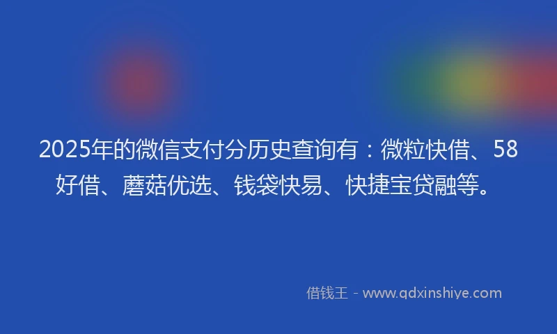 2025年的微信支付分历史查询有：微粒快借、58好借、蘑菇优选、钱袋快易、快捷宝贷融等。