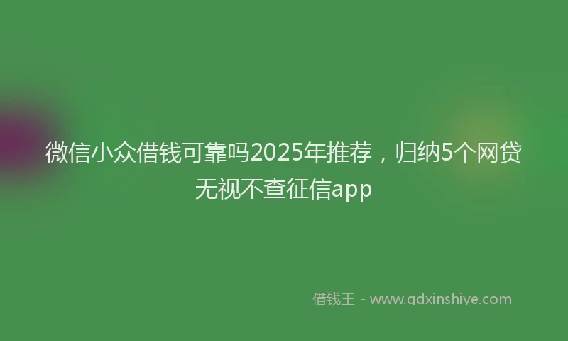 微信小众借钱可靠吗2025年推荐，归纳5个网贷无视不查征信app