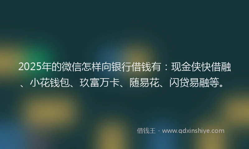 2025年的微信怎样向银行借钱有：现金侠快借融、小花钱包、玖富万卡、随易花、闪贷易融等。