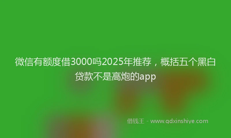 微信有额度借3000吗2025年推荐，概括五个黑白贷款不是高炮的app
