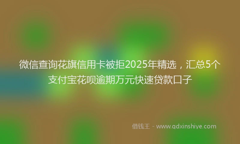 微信查询花旗信用卡被拒2025年精选，汇总5个支付宝花呗逾期万元快速贷款口子