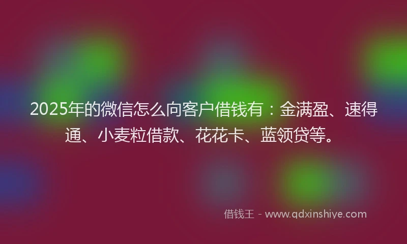 2025年的微信怎么向客户借钱有：金满盈、速得通、小麦粒借款、花花卡、蓝领贷等。