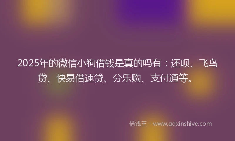 2025年的微信小狗借钱是真的吗有：还呗、飞鸟贷、快易借速贷、分乐购、支付通等。