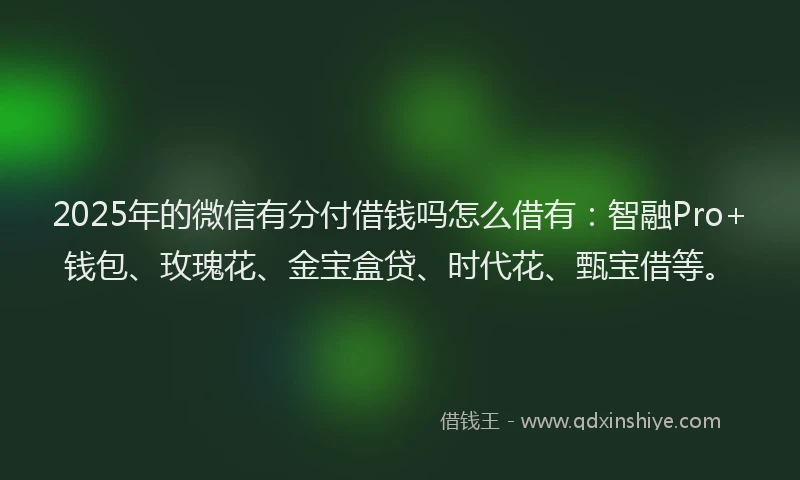 2025年的微信有分付借钱吗怎么借有：智融Pro+钱包、玫瑰花、金宝盒贷、时代花、甄宝借等。