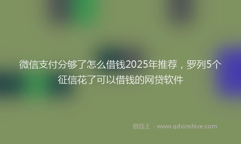 微信支付分够了怎么借钱2025年推荐，罗列5个征信花了可以借钱的网贷软件