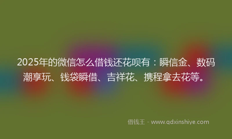 2025年的微信怎么借钱还花呗有：瞬信金、数码潮享玩、钱袋瞬借、吉祥花、携程拿去花等。