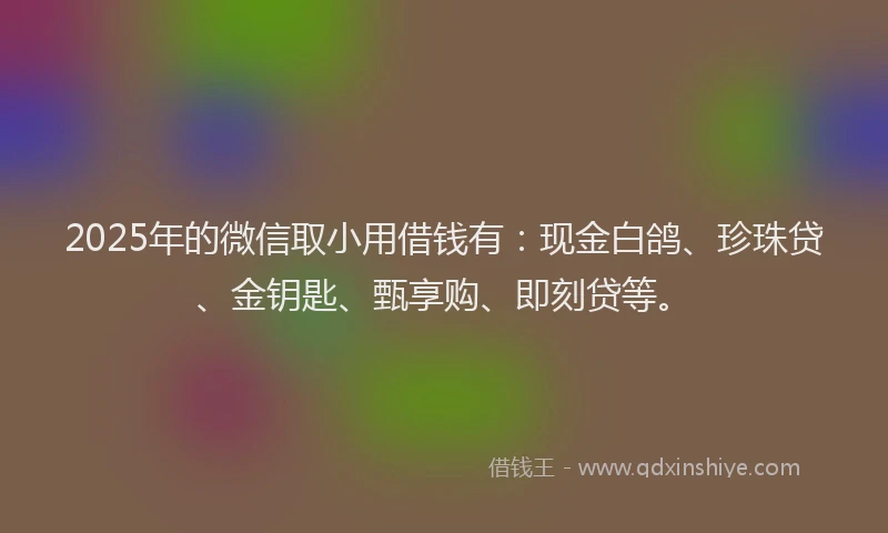 2025年的微信取小用借钱有：现金白鸽、珍珠贷、金钥匙、甄享购、即刻贷等。