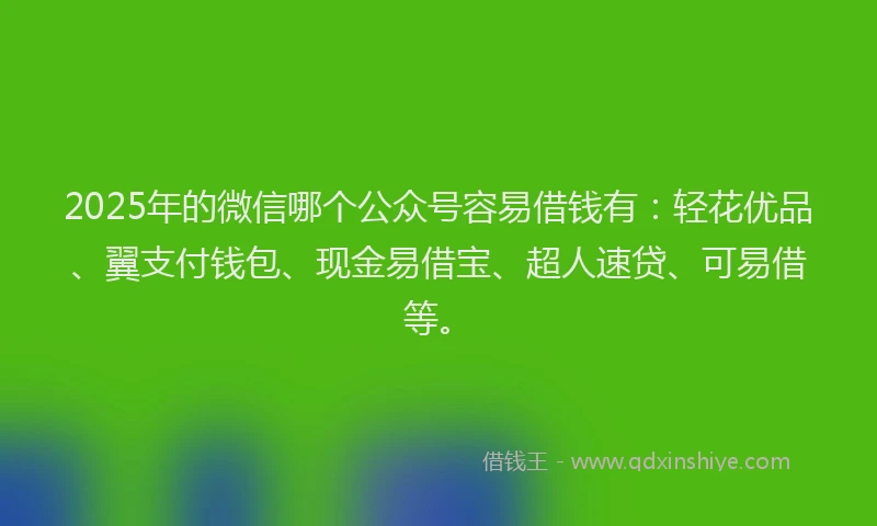 2025年的微信哪个公众号容易借钱有：轻花优品、翼支付钱包、现金易借宝、超人速贷、可易借等。