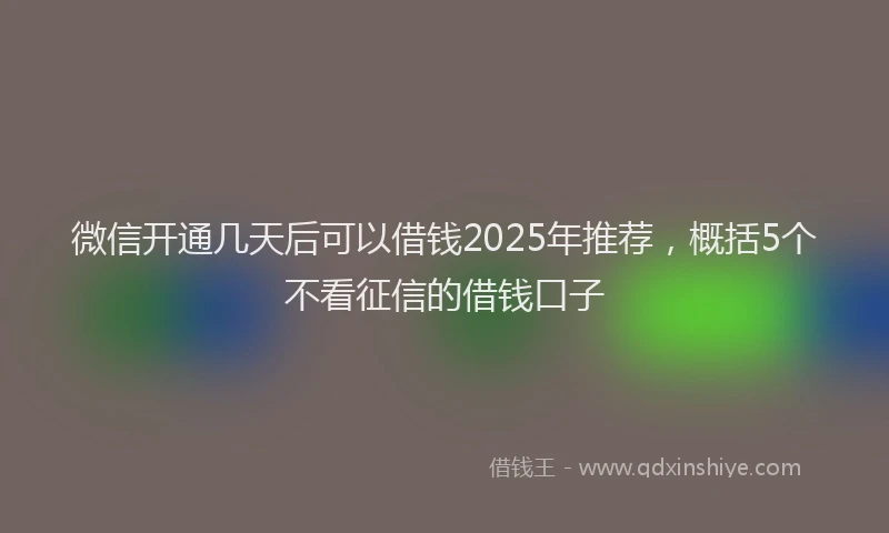 微信开通几天后可以借钱2025年推荐，概括5个不看征信的借钱口子