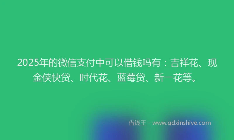 2025年的微信支付中可以借钱吗有：吉祥花、现金侠快贷、时代花、蓝莓贷、新一花等。