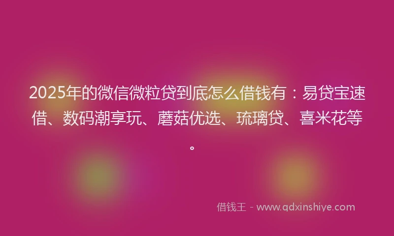2025年的微信微粒贷到底怎么借钱有：易贷宝速借、数码潮享玩、蘑菇优选、琉璃贷、喜米花等。