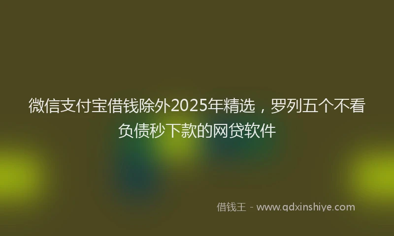微信支付宝借钱除外2025年精选，罗列五个不看负债秒下款的网贷软件