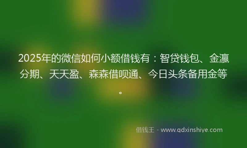 2025年的微信如何小额借钱有：智贷钱包、金瀛分期、天天盈、森森借呗通、今日头条备用金等。