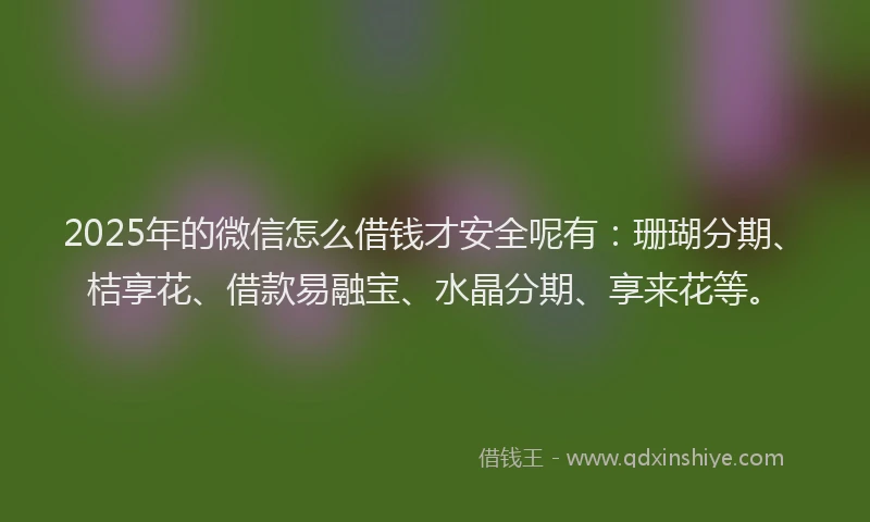 2025年的微信怎么借钱才安全呢有：珊瑚分期、桔享花、借款易融宝、水晶分期、享来花等。