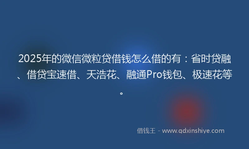 2025年的微信微粒贷借钱怎么借的有：省时贷融、借贷宝速借、天浩花、融通Pro钱包、极速花等。