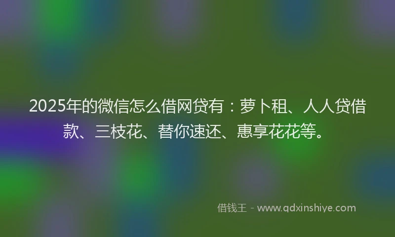 2025年的微信怎么借网贷有：萝卜租、人人贷借款、三枝花、替你速还、惠享花花等。