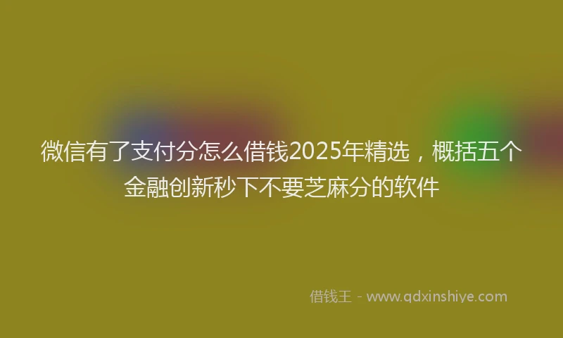 微信有了支付分怎么借钱2025年精选，概括五个金融创新秒下不要芝麻分的软件