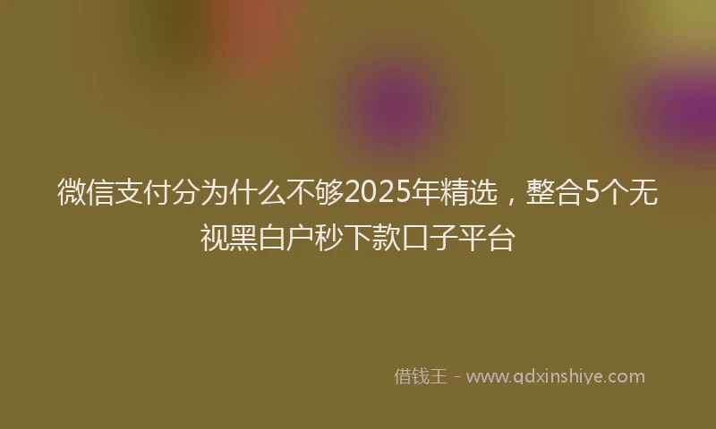 微信支付分为什么不够2025年精选，整合5个无视黑白户秒下款口子平台