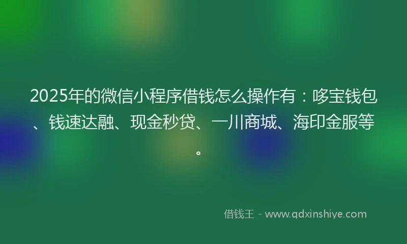 2025年的微信小程序借钱怎么操作有：哆宝钱包、钱速达融、现金秒贷、一川商城、海印金服等。