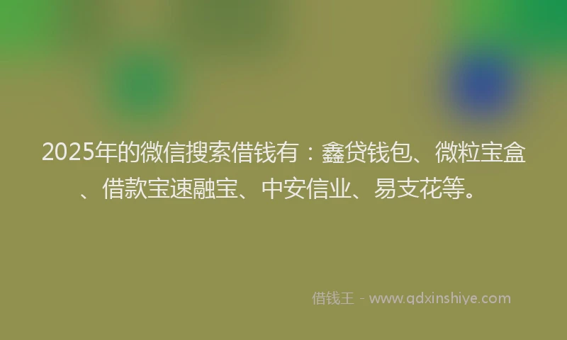 2025年的微信搜索借钱有：鑫贷钱包、微粒宝盒、借款宝速融宝、中安信业、易支花等。