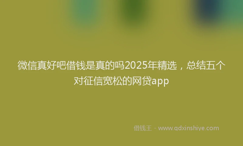 微信真好吧借钱是真的吗2025年精选，总结五个对征信宽松的网贷app