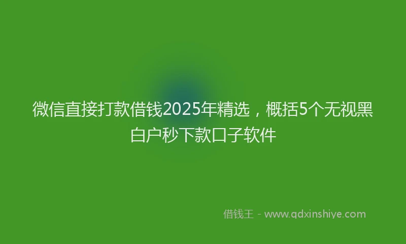 微信直接打款借钱2025年精选，概括5个无视黑白户秒下款口子软件