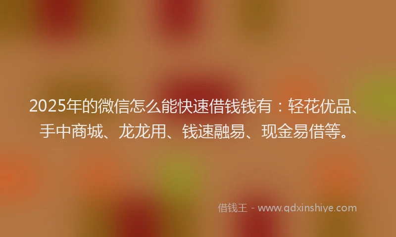 2025年的微信怎么能快速借钱钱有：轻花优品、手中商城、龙龙用、钱速融易、现金易借等。