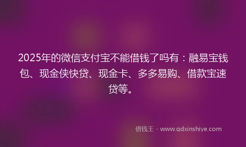 2025年的微信支付宝不能借钱了吗有：融易宝钱包、现金侠快贷、现金卡、多多易购、借款宝速贷等。