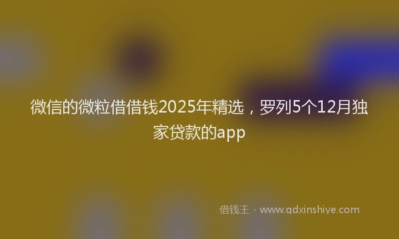 微信的微粒借借钱2025年精选，罗列5个12月独家贷款的app