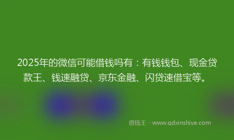 2025年的微信可能借钱吗有：有钱钱包、现金贷款王、钱速融贷、京东金融、闪贷速借宝等。