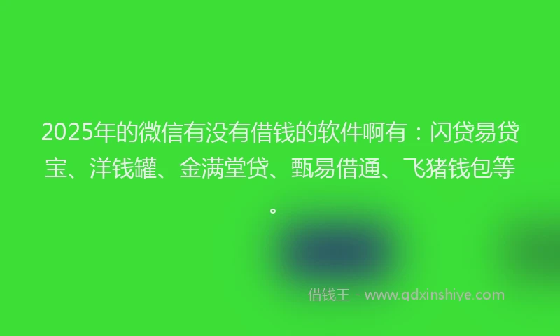 2025年的微信有没有借钱的软件啊有：闪贷易贷宝、洋钱罐、金满堂贷、甄易借通、飞猪钱包等。