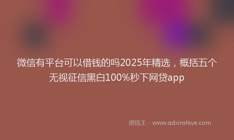 微信有平台可以借钱的吗2025年精选，概括五个无视征信黑白100%秒下网贷app
