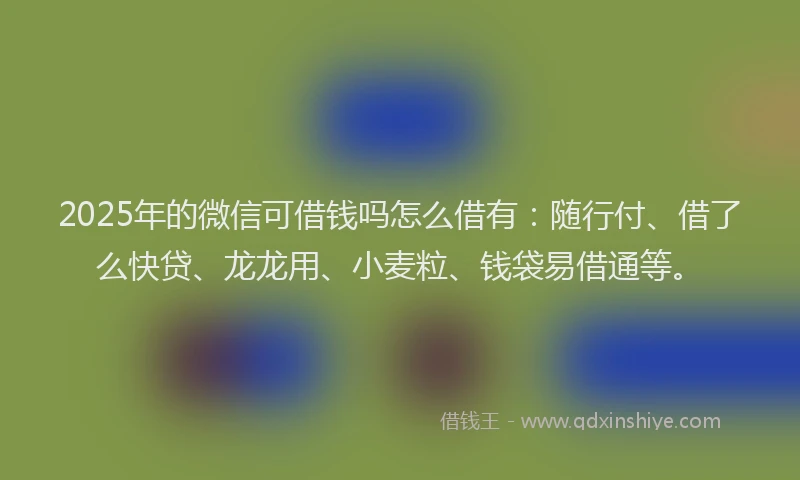 2025年的微信可借钱吗怎么借有：随行付、借了么快贷、龙龙用、小麦粒、钱袋易借通等。