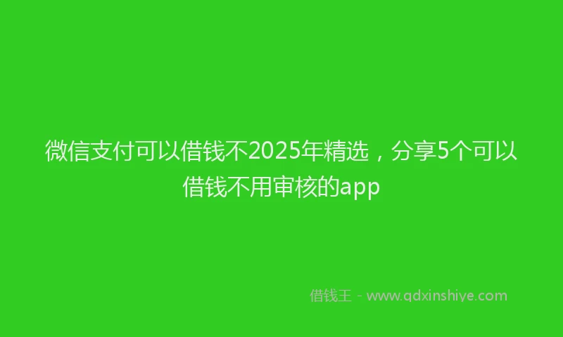 微信支付可以借钱不2025年精选，分享5个可以借钱不用审核的app