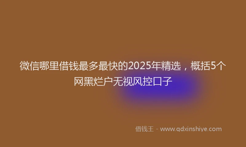 微信哪里借钱最多最快的2025年精选，概括5个网黑烂户无视风控口子