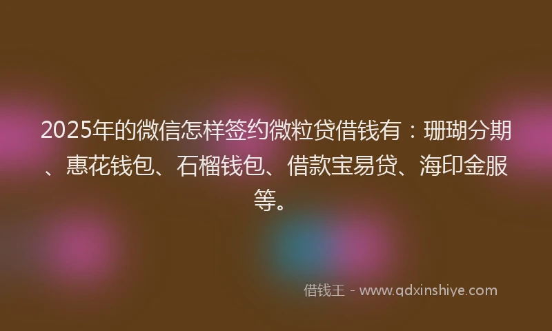 2025年的微信怎样签约微粒贷借钱有：珊瑚分期、惠花钱包、石榴钱包、借款宝易贷、海印金服等。